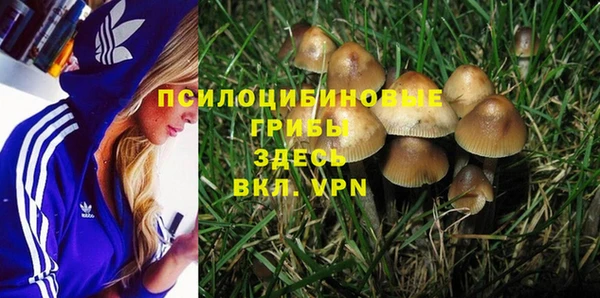 гидра Пересвет