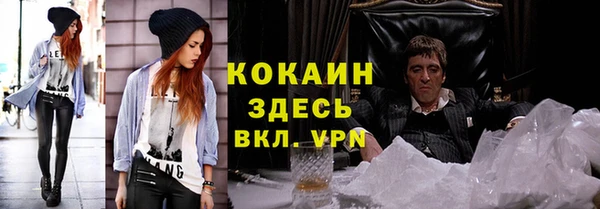 гидра Пересвет