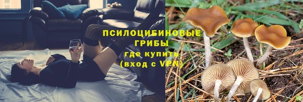 спайс Костерёво